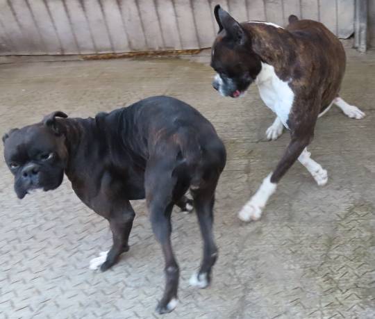 生き物ルーム第54