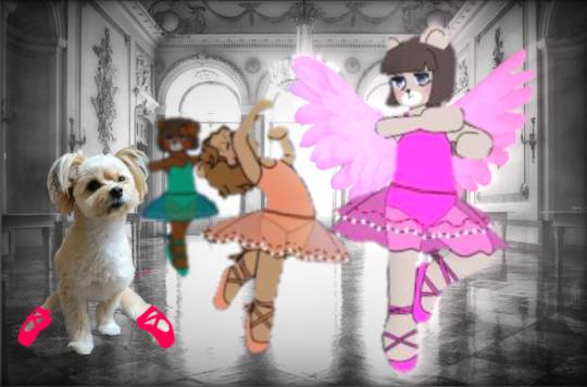 生き物ルーム第54