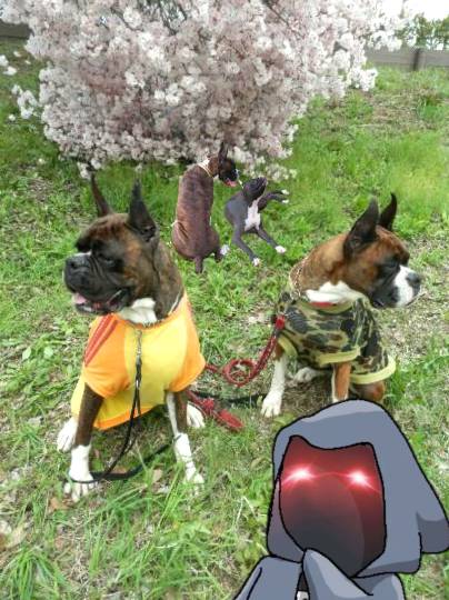 生き物ルーム第54