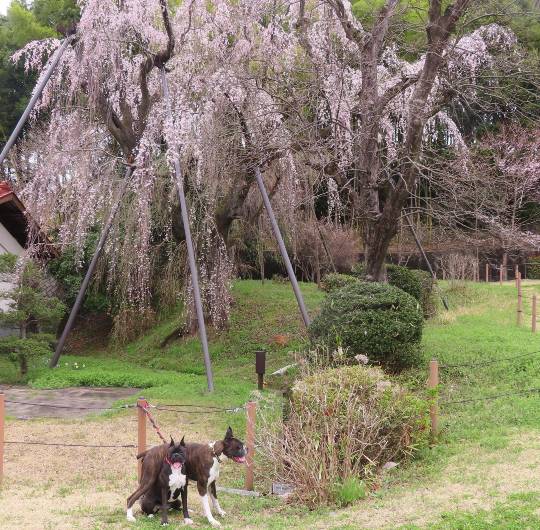生き物ルーム第55
