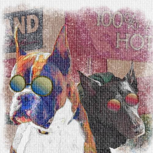 生き物ルーム第54