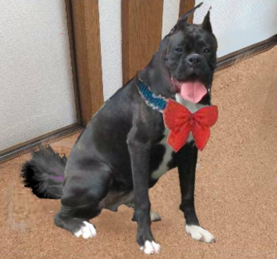 生き物ルーム第54