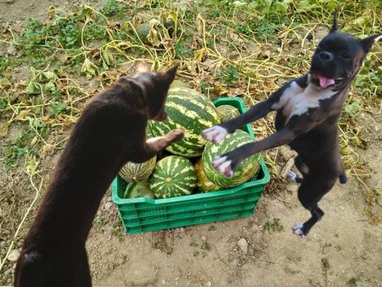 生き物ルーム第55