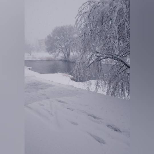 スナック【JINJIN】祝！20号店!!　成人の集いの場♪