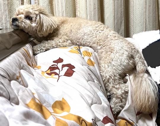 生き物ルーム第54