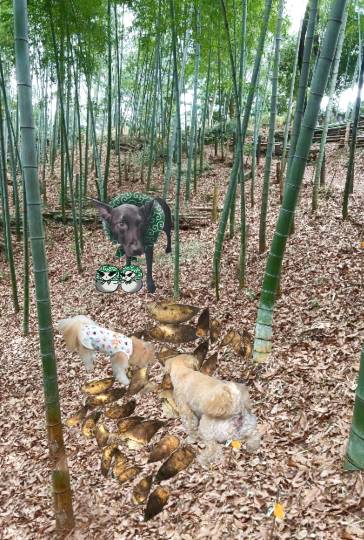 生き物ルーム第55