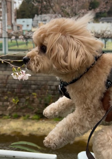 生き物ルーム第54