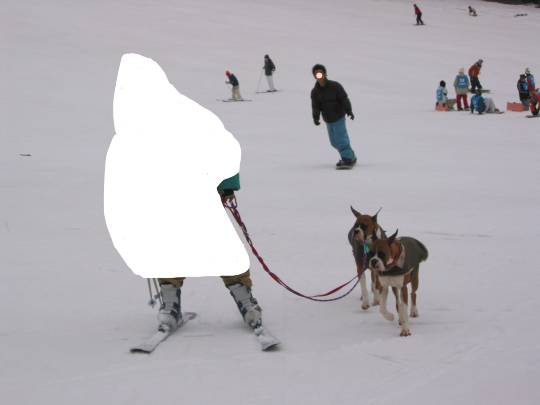 生き物ルーム第54