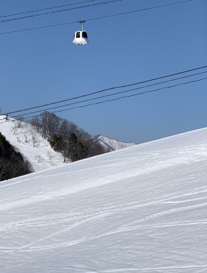 生き物ルーム第54