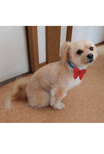 生き物ルーム第54