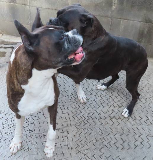 生き物ルーム第54