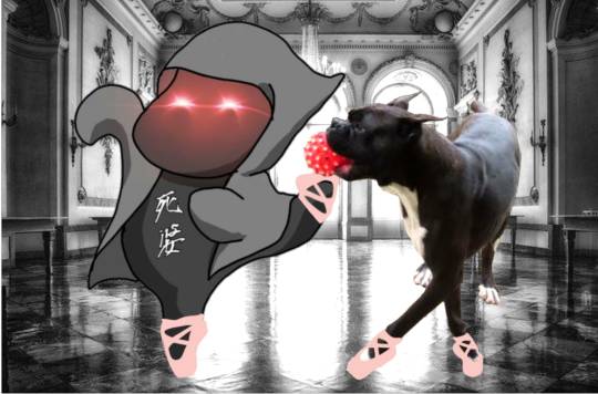 生き物ルーム第54