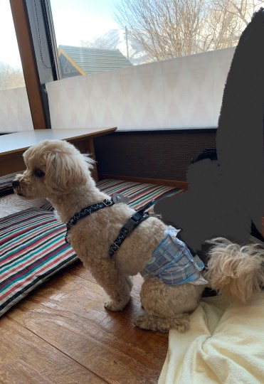 生き物ルーム第54