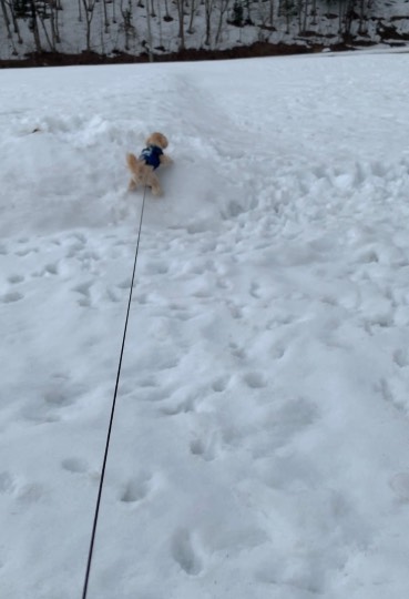 生き物ルーム第54