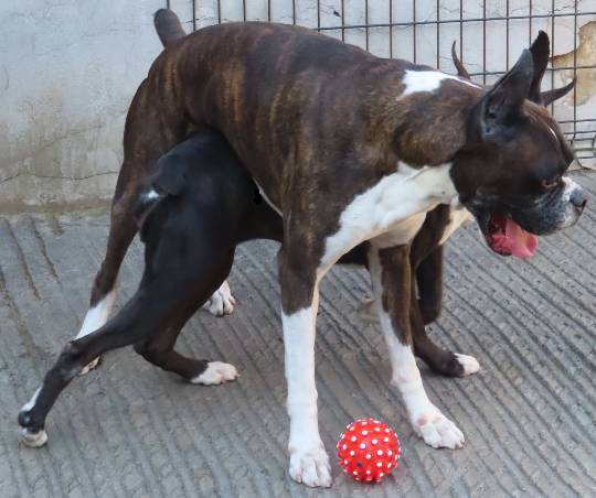 生き物ルーム第54