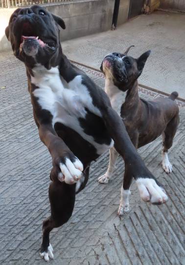 生き物ルーム第54