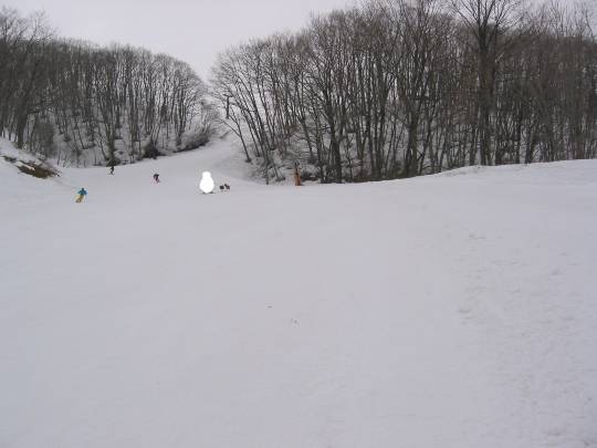 生き物ルーム第54