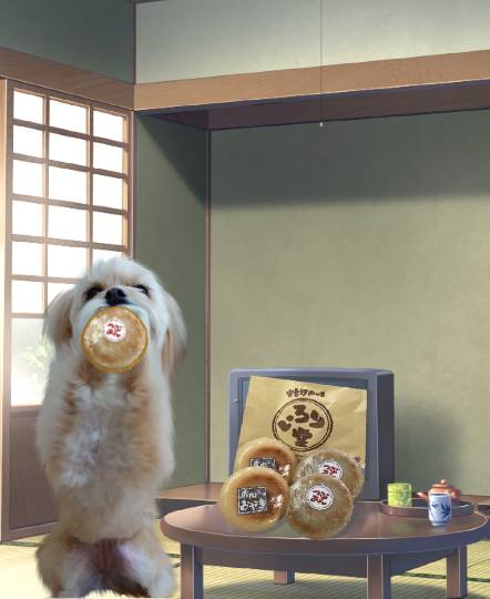 生き物ルーム第54