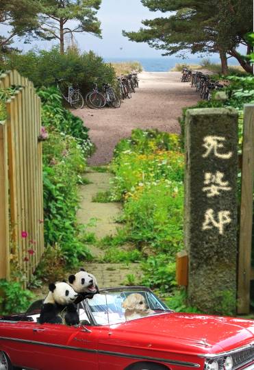 生き物ルーム第54