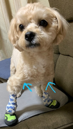 生き物ルーム第54