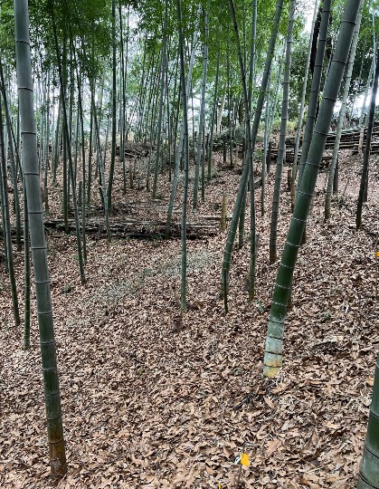 生き物ルーム第54