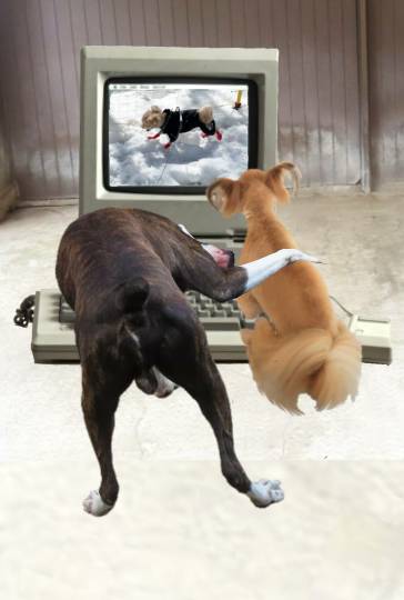 生き物ルーム第54