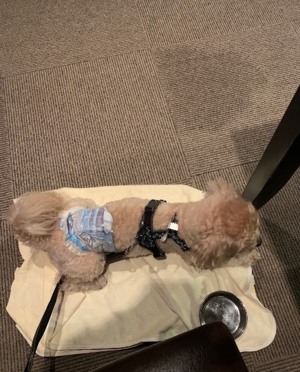 生き物ルーム第54