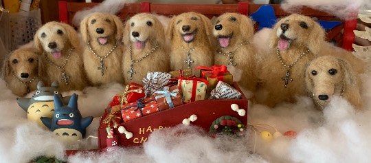 生き物ルーム第54