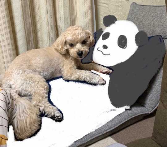 生き物ルーム第54