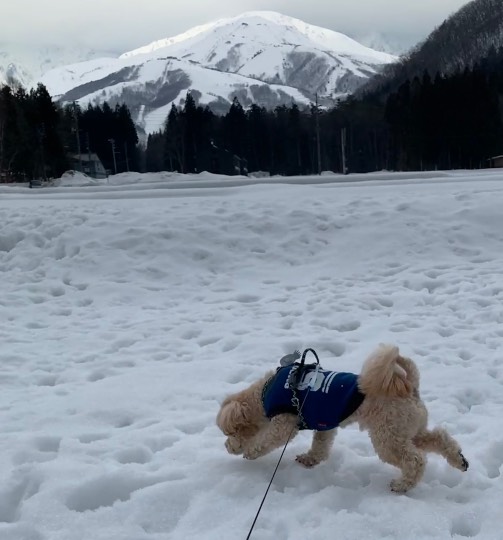 生き物ルーム第54