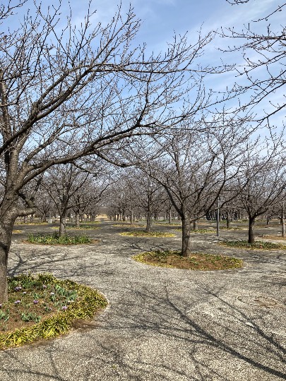 3月10日(木曜日)　幕張倉庫店｜幕張店午前中の様子です。
周辺道路渋滞...