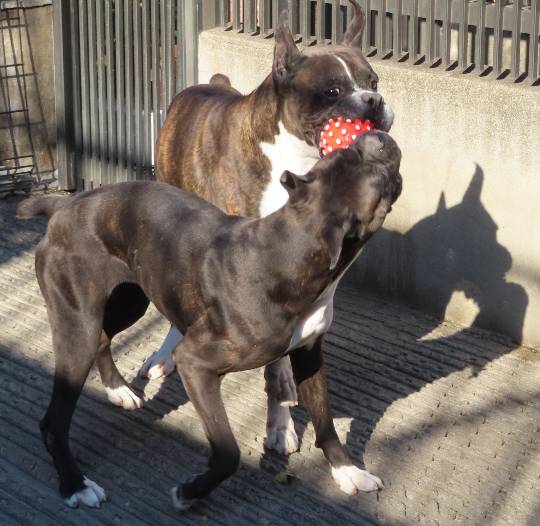 生き物ルーム第54