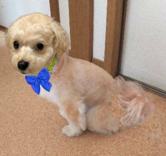 生き物ルーム第54