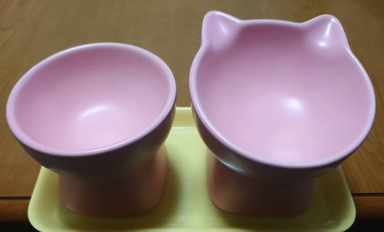 生き物ルーム第54