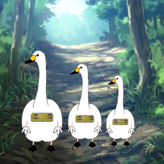 生き物ルーム第54