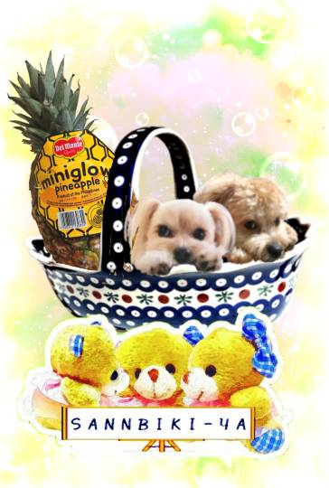 生き物ルーム第54