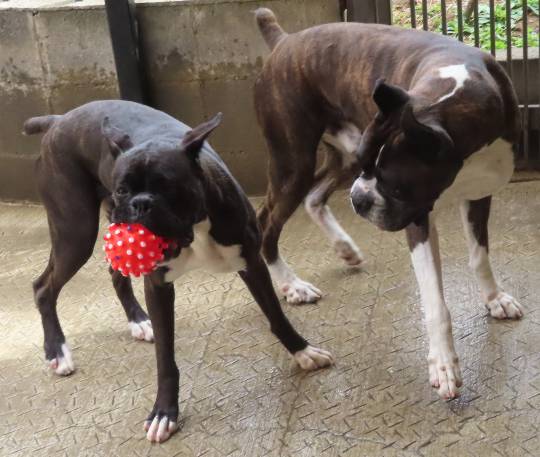 生き物ルーム第54