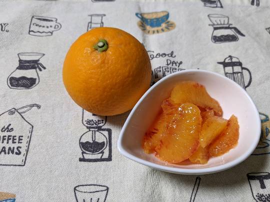 スナック【JINJIN】祝!20号店!! 成人の集いの場♪