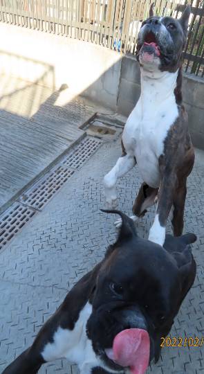 生き物ルーム第54