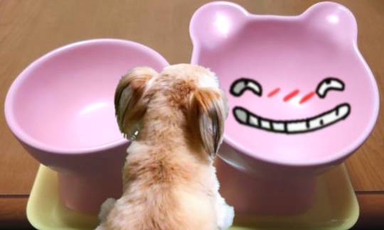 生き物ルーム第54