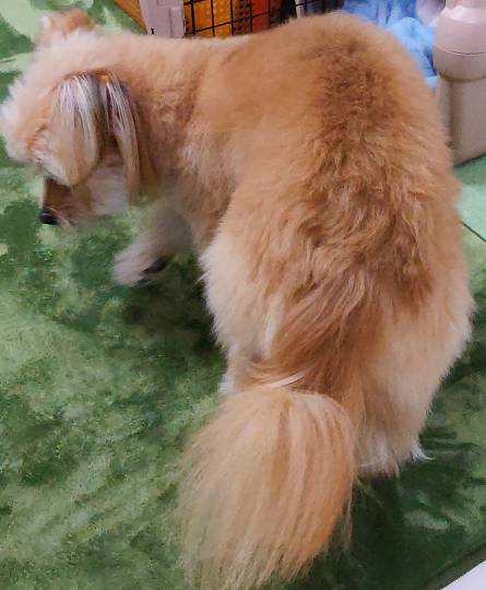 生き物ルーム第54