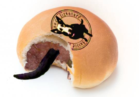 生き物ルーム第54