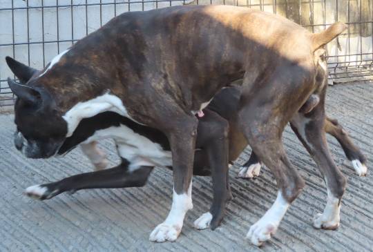 生き物ルーム第54