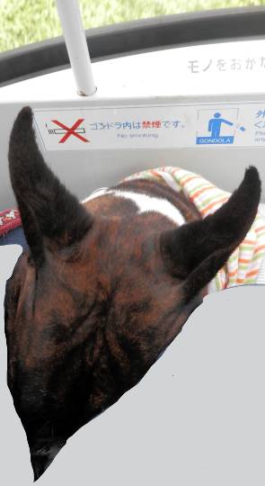 生き物ルーム第54