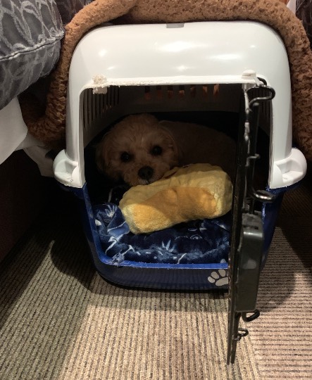 生き物ルーム第54