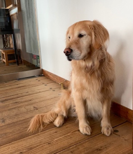 生き物ルーム第54