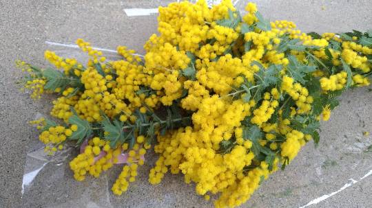 スナック【JINJIN】祝！20号店!!　成人の集いの場♪