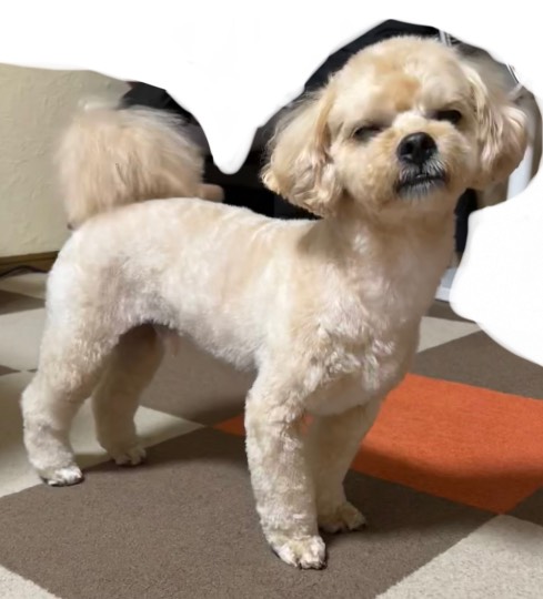 生き物ルーム第55