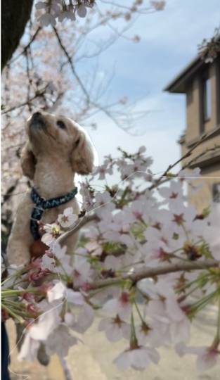 生き物ルーム第55