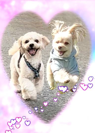 生き物ルーム第55